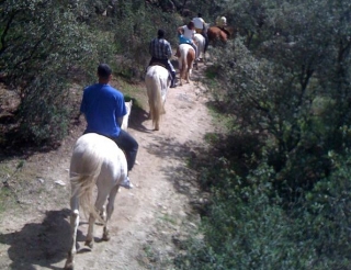 en los caballos